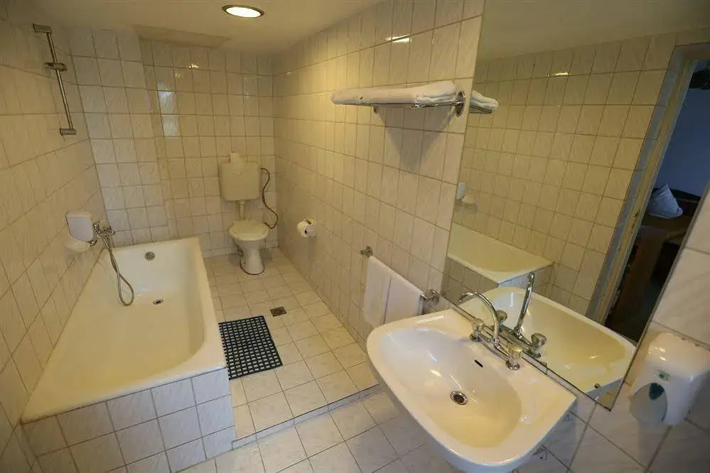 Hotel Banat