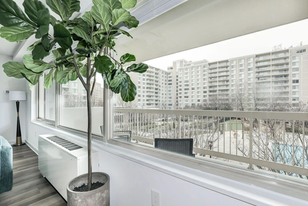 Arlington Modern Comfort Meets City Life