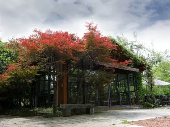 Wuyishan Guanjing Shanfang Hotel