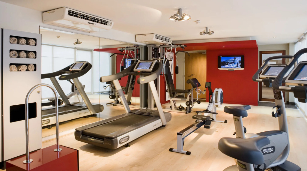 Pullman Toulouse