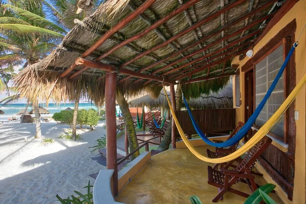 Bt Live Tulum