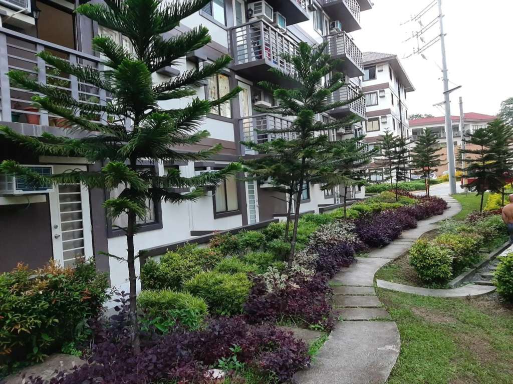 Condo eLgimikero