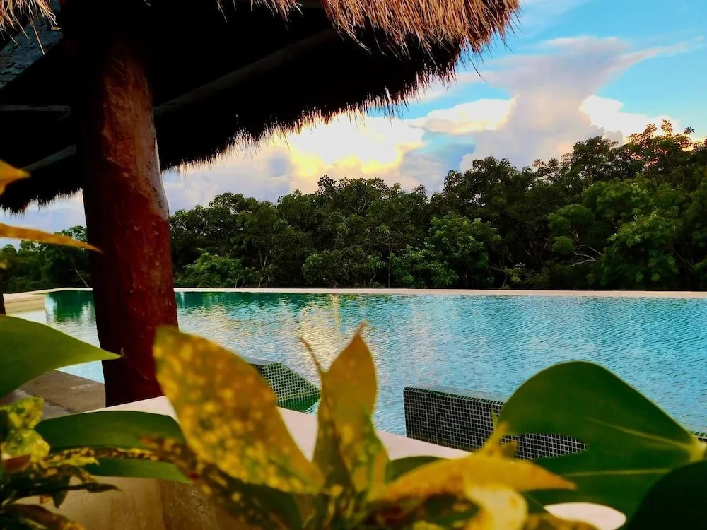1 Br Apartment W-jungle View - Top Lx Amenities