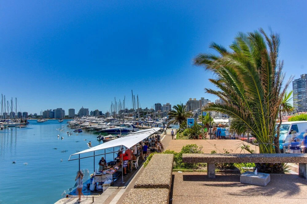 Apartamento Cómodo en Avenida Gorlero - Edificio Isla Lobos