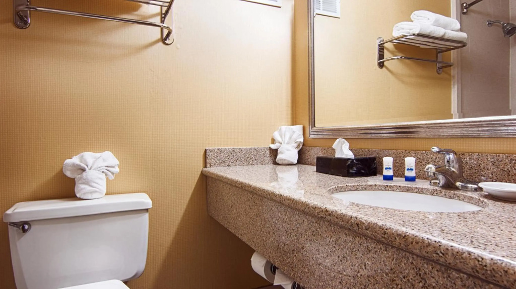 Quality Inn & Suites Syracuse - Carrier Circle