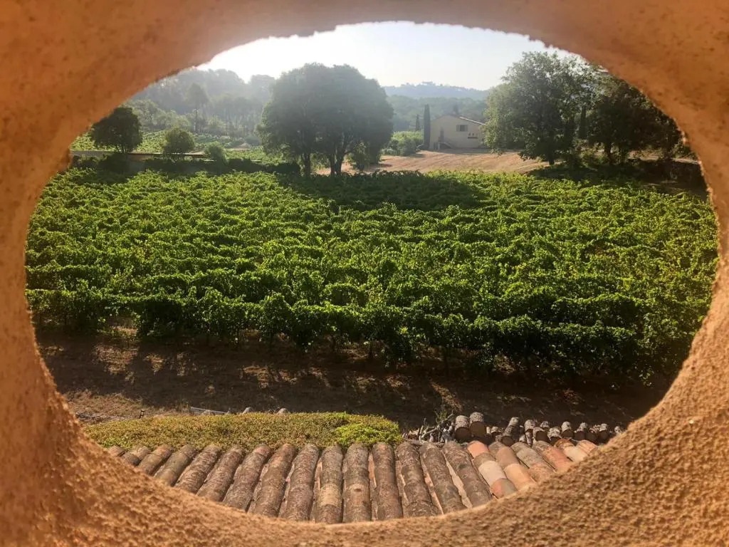 Domaine du Clos dAlari-chambres dhôtes au milieu des vignes