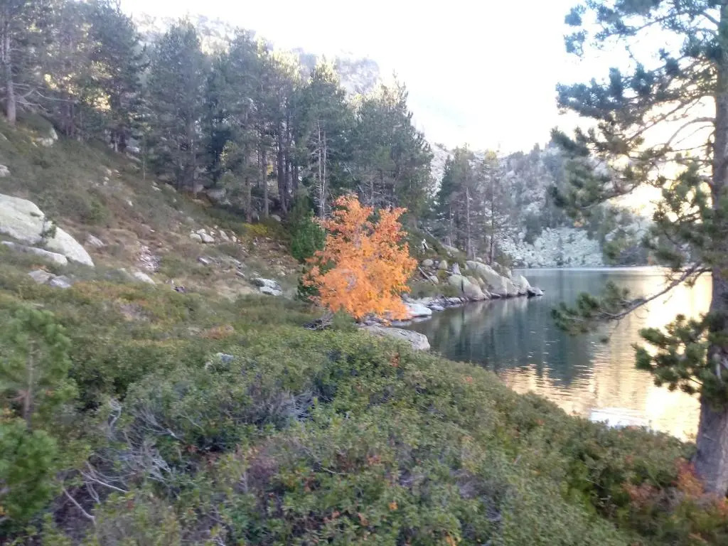 Càmping Riu Gelat
