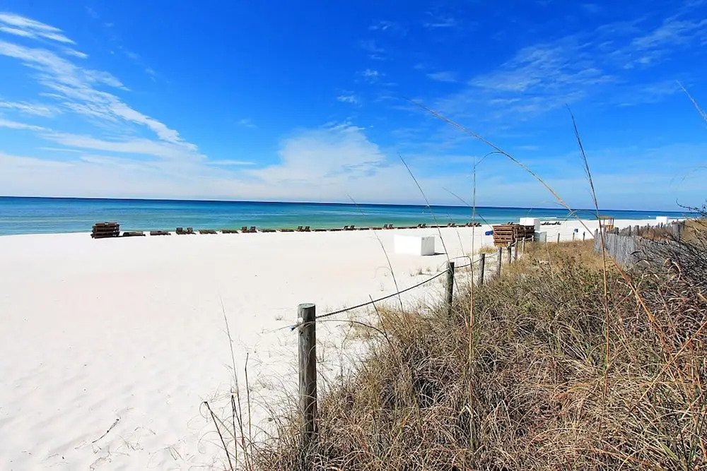 Sunshine & Sea Breezes