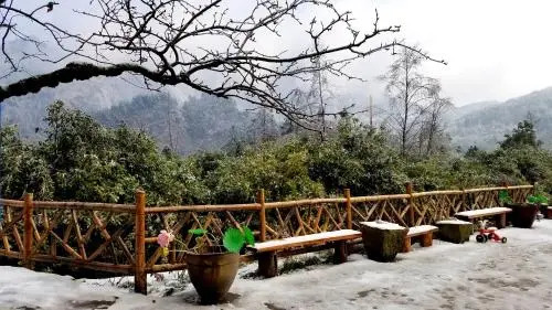 Zhangjiajie Lodge In The Forest