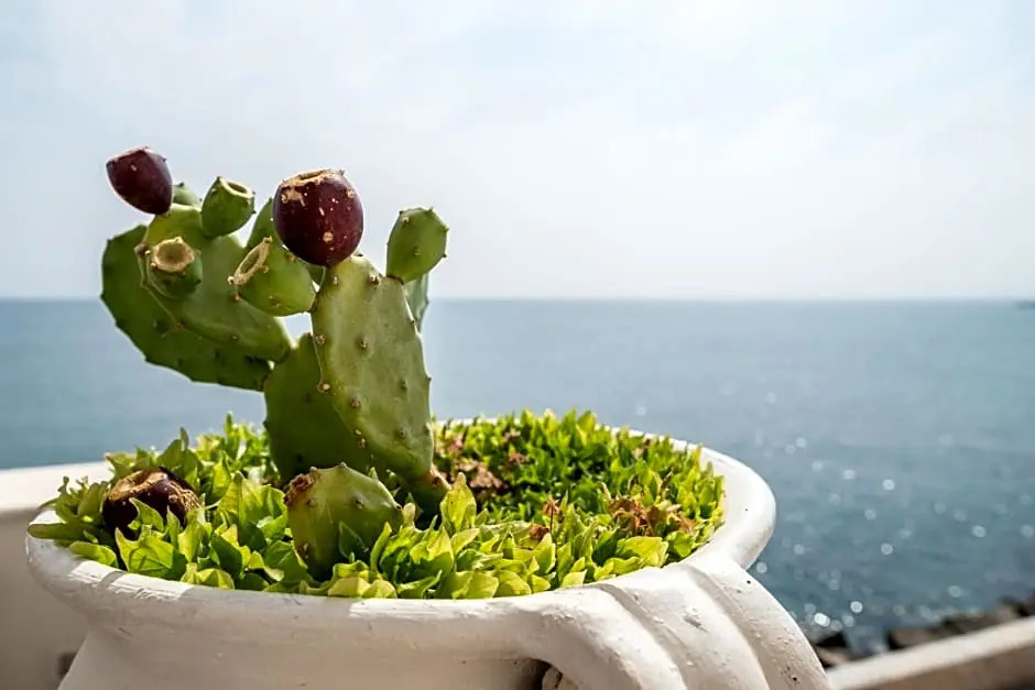 B&b Casa Maredentro
