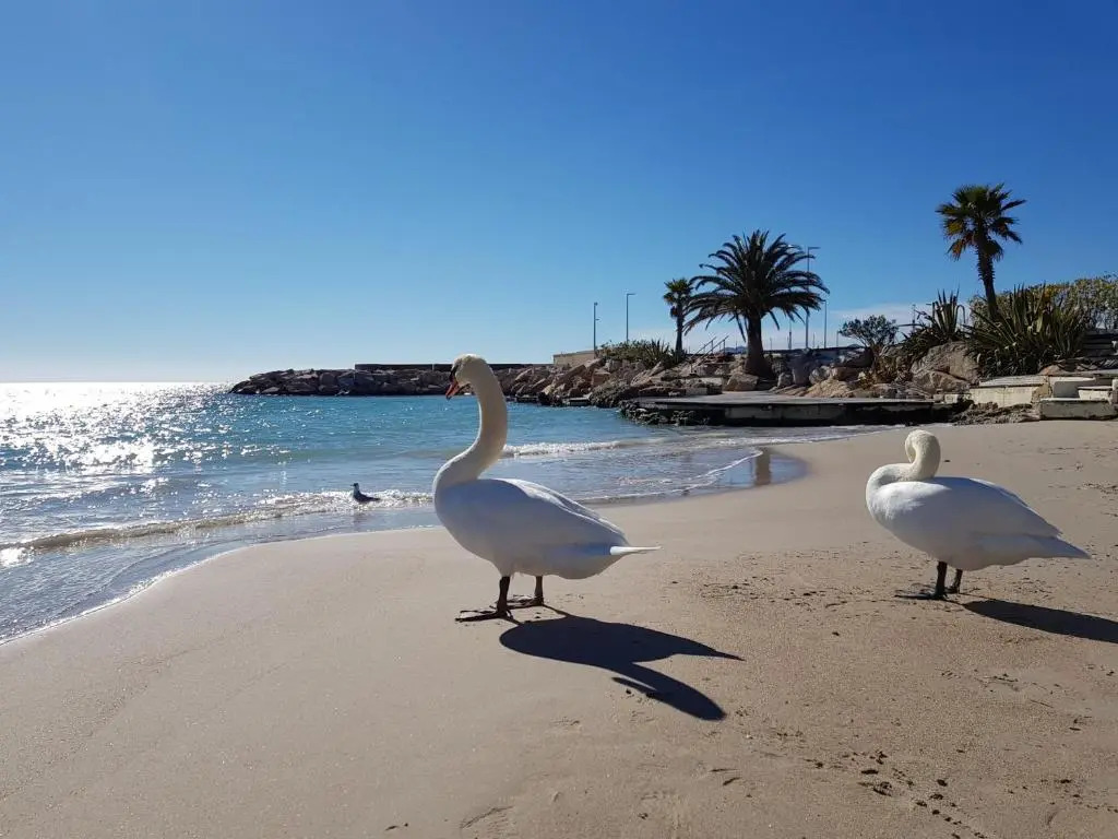 Appartement Cannes, 3 pièces, 4 personnes - FR-1-470-1