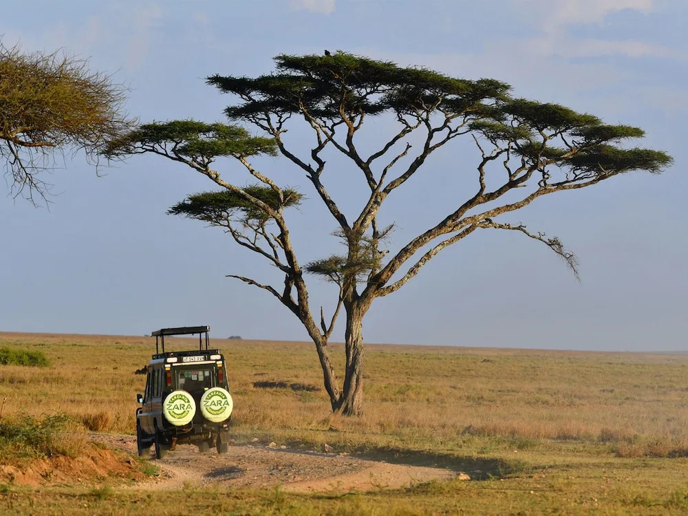 Serengeti Wild Camp