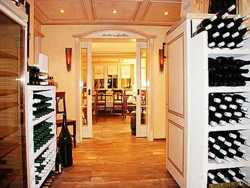 Wein- und Klimahotel Bergfriedel