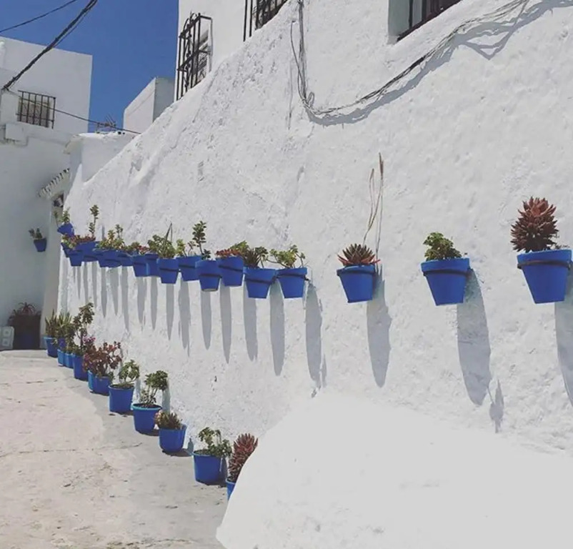 Studio in Vejer de la Frontera - 10 km From the Beach