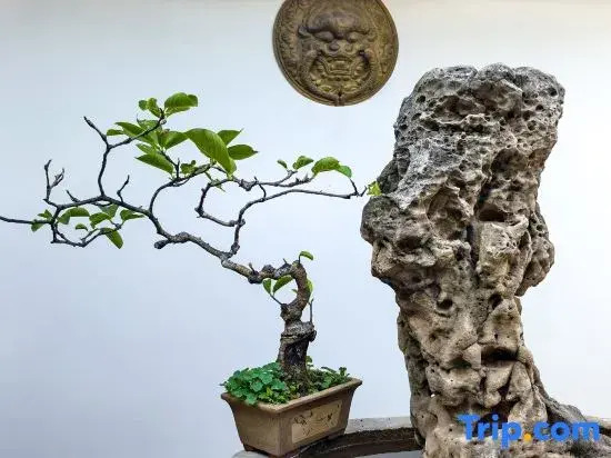 Zuo  Yuan  Resort