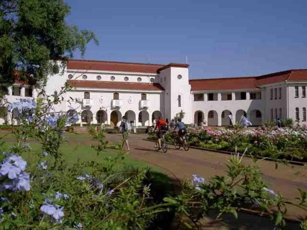 Cosy - Best Rest Potch