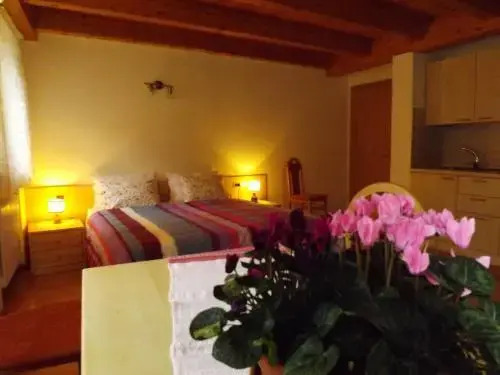 Albergo Alpina
