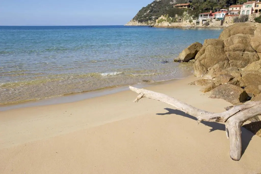 Un Nido sul Mare