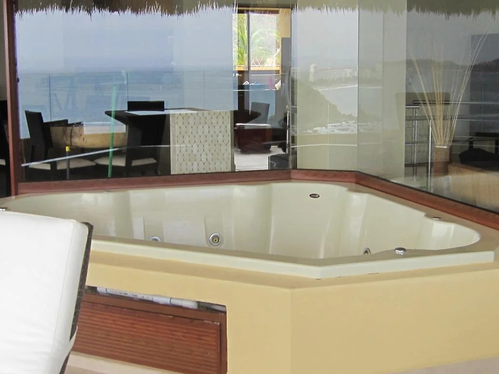 Palmetto Ixtapa 313