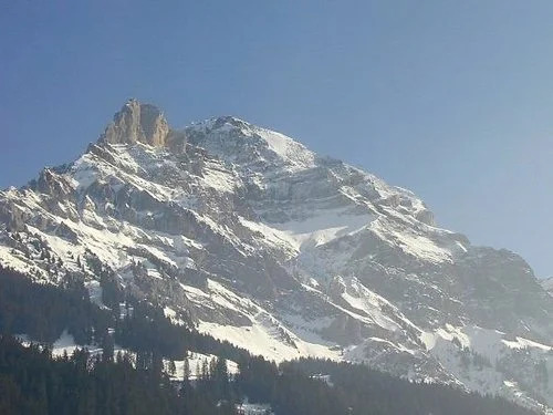 La Sauterelle 12589