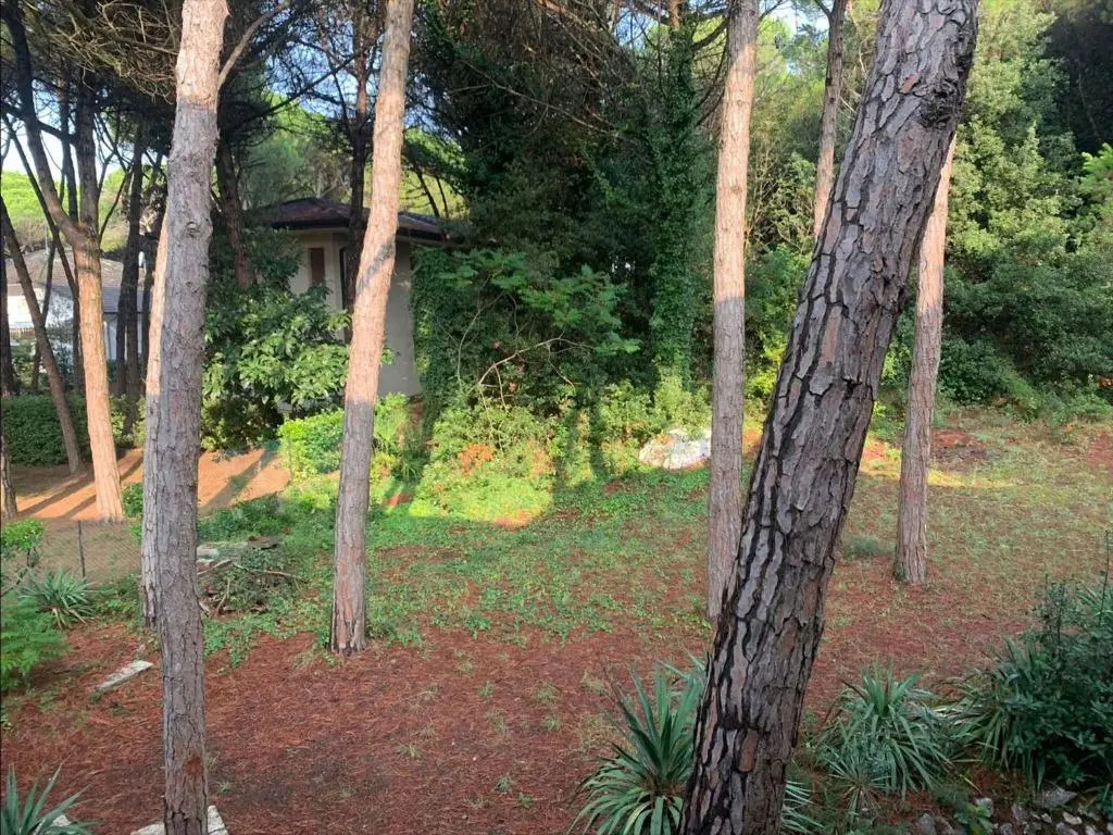 Apartment in Eraclea Mare 40811