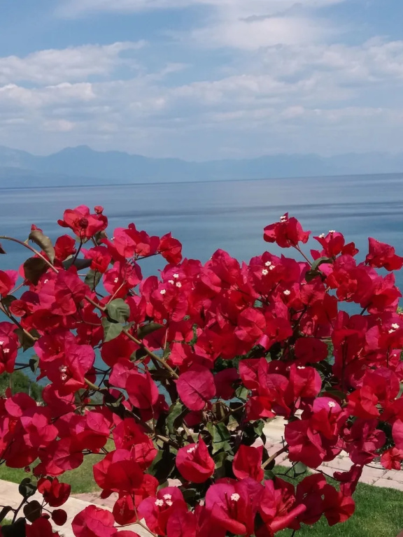 Panorama Beach