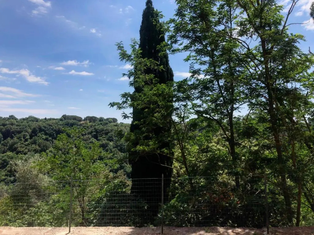 La Casa all'Oliveto