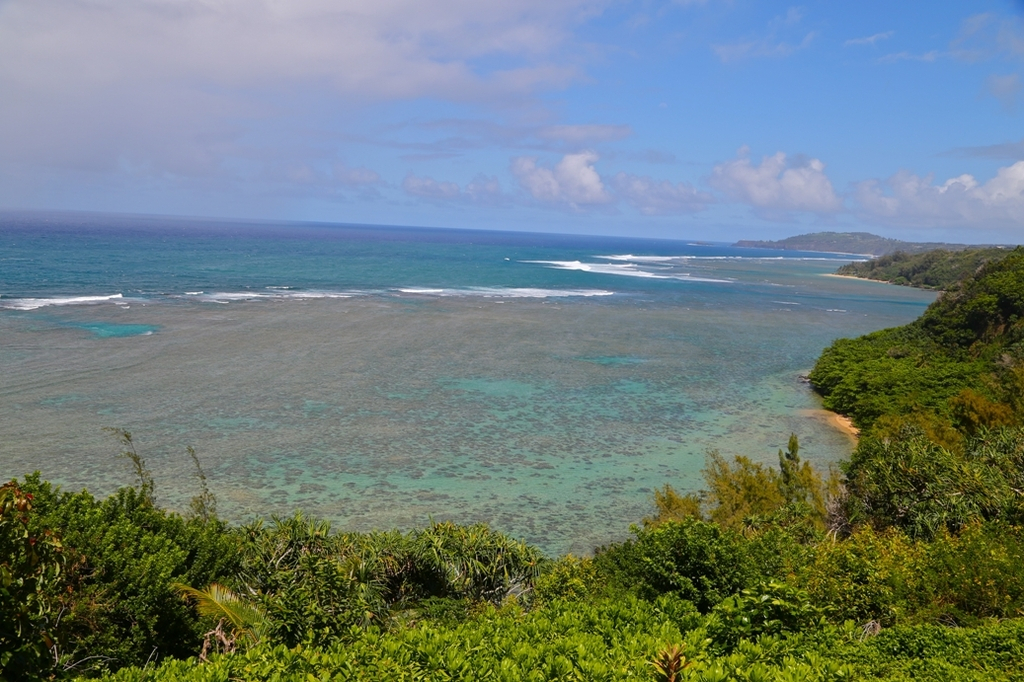 Club Wyndham Shearwater