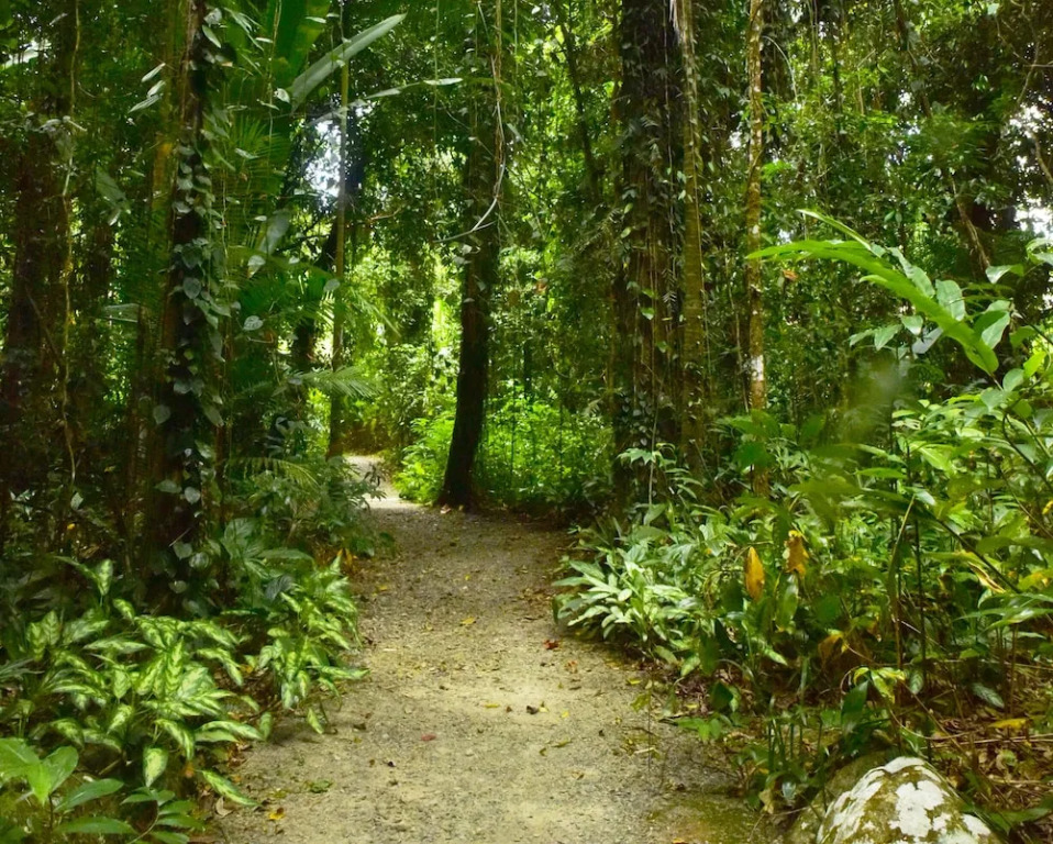 Misty Mountains Rainforest Retreat