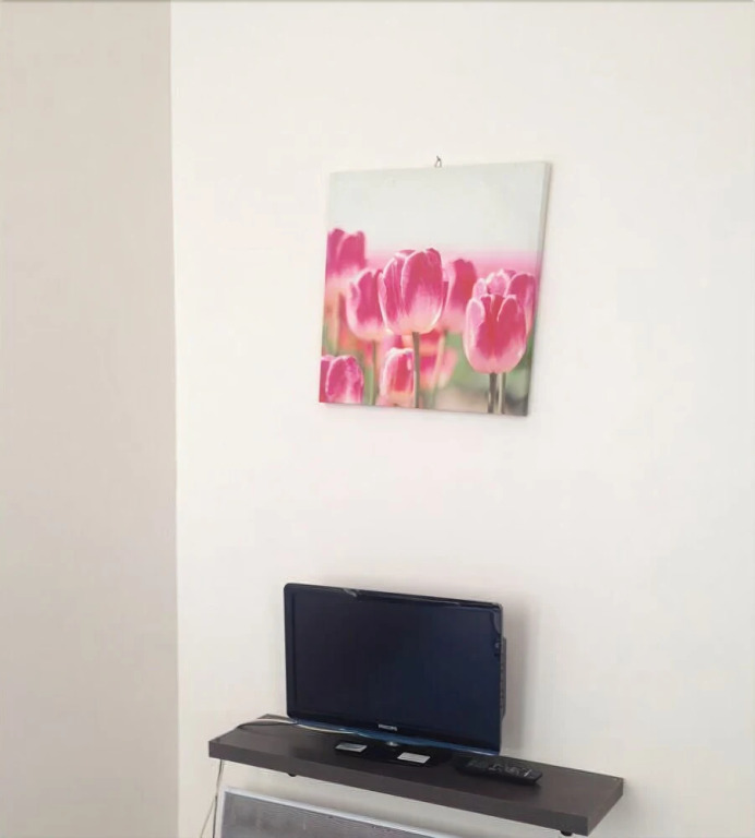 Apartment Poisson 1