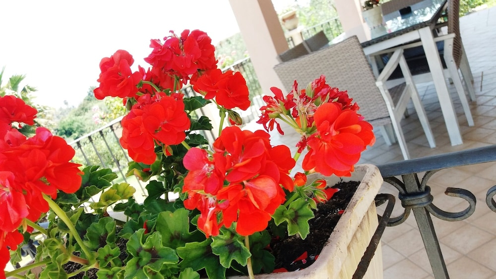 Villa Giorgia Mare, Natura, Sole, Colori E Sapori