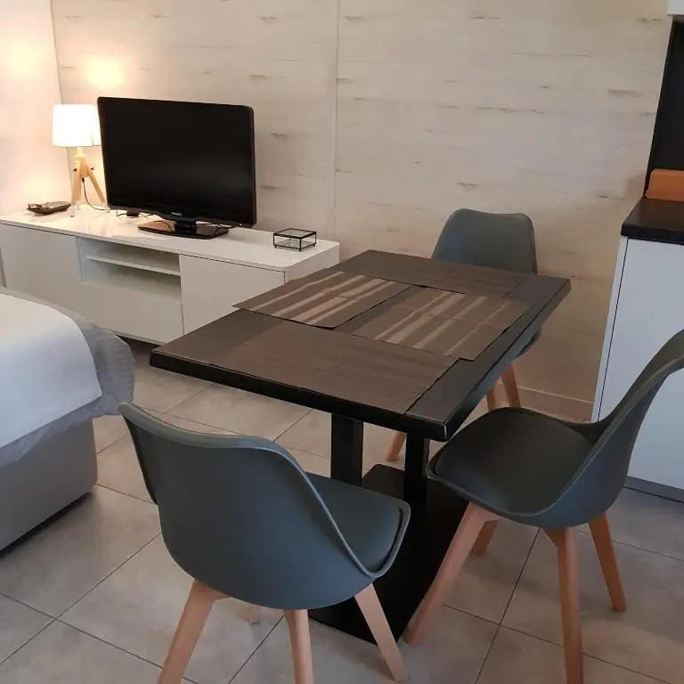 STUDIO 28 m2 TOUT CONFORT NEUF LABEL 3 ETOILES 4 PERSONNES CYBELE