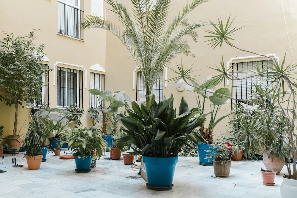 Sevilla Apartments Leonor BA