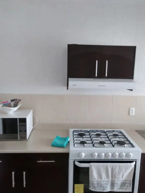 Tulipanes Beach Apartment