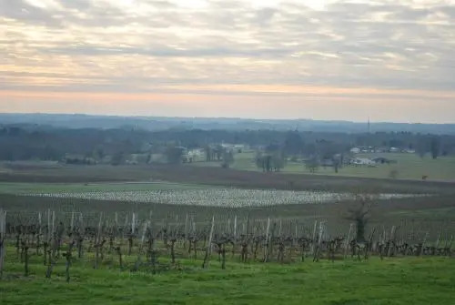 Les Foucauds