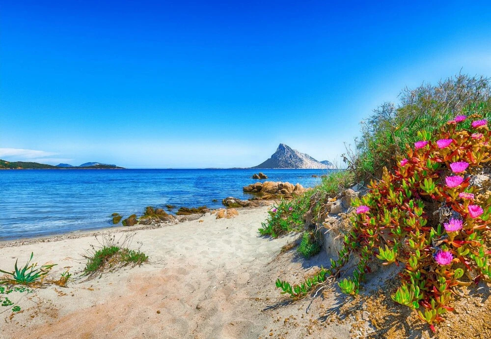 I Fari 76 600mt From The Beach