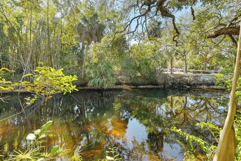 Tropical Vibes! Riverfront Bonita Springs Hideaway
