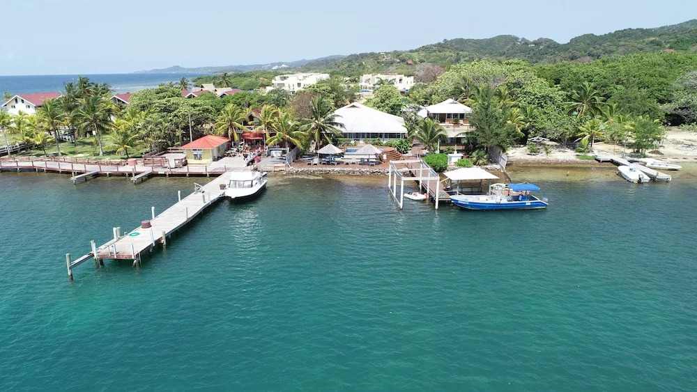 Wikkid Resort