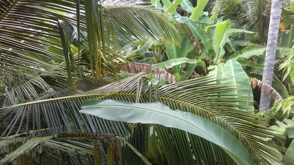 Zahir Retreat