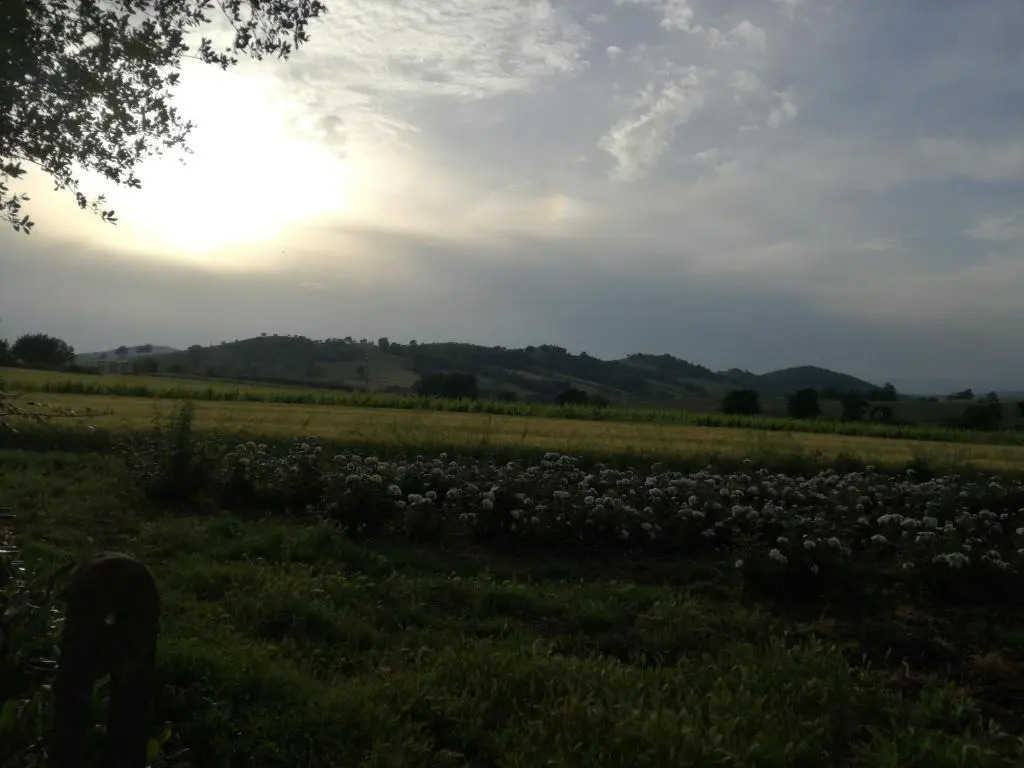 Agriturismo cavallin del papa