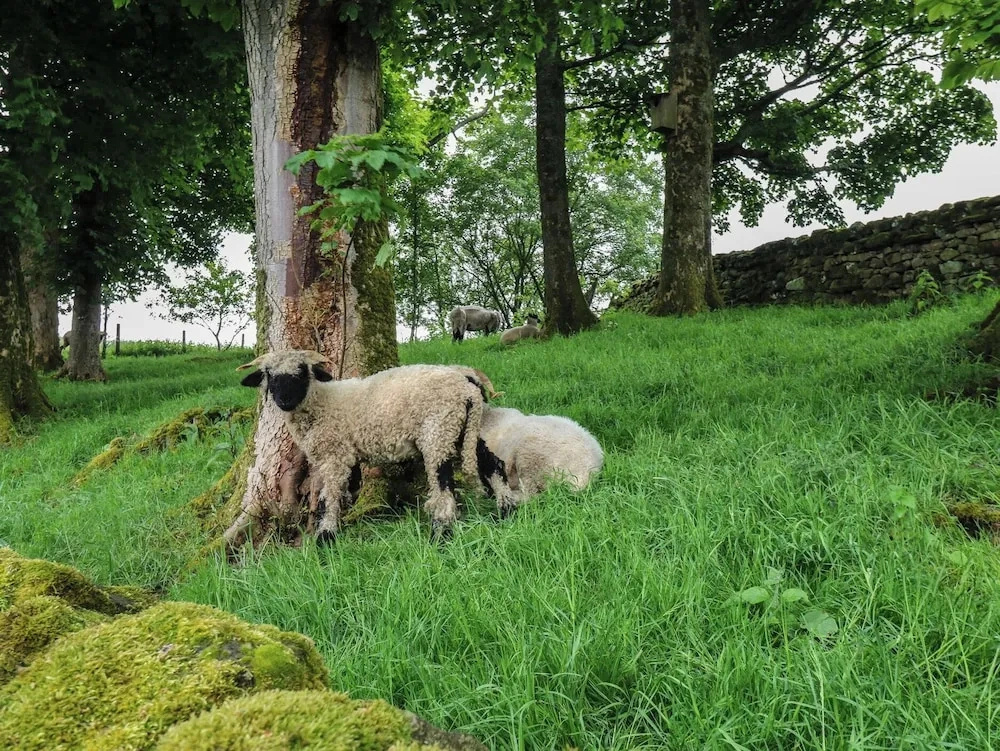 The Laal Cragg