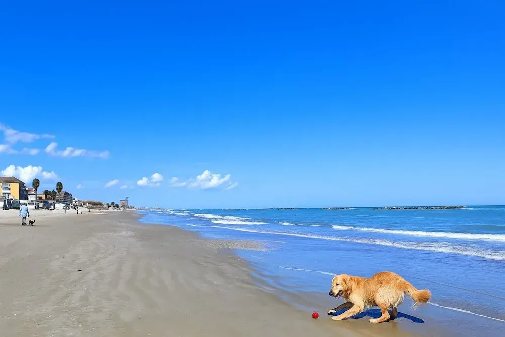 ⭐ SeaSide⭐ | 100 m dal Mare Love & Family Wi-Fi AC