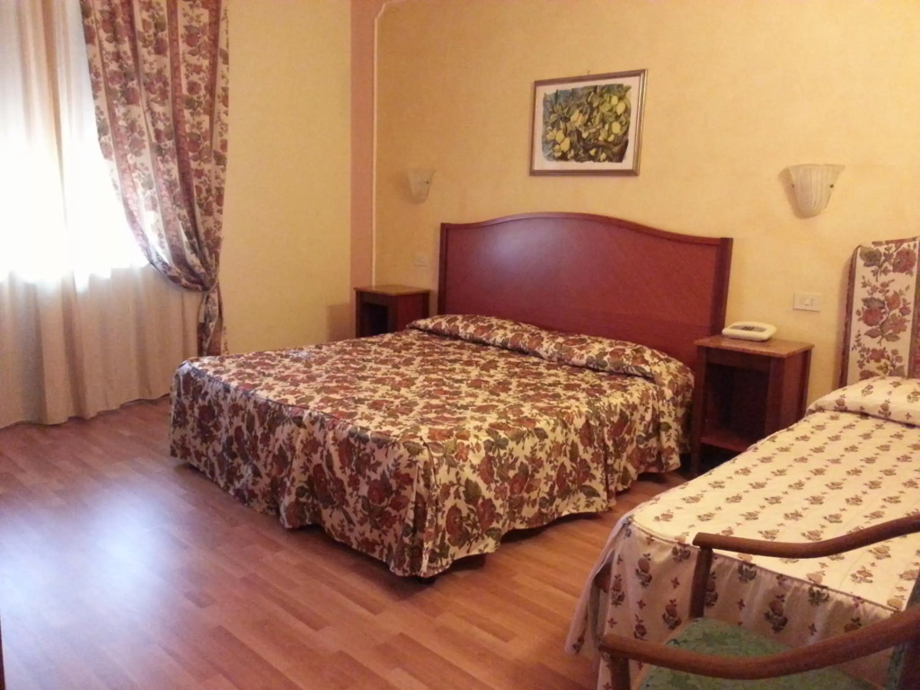 Hotel Minerva Palace