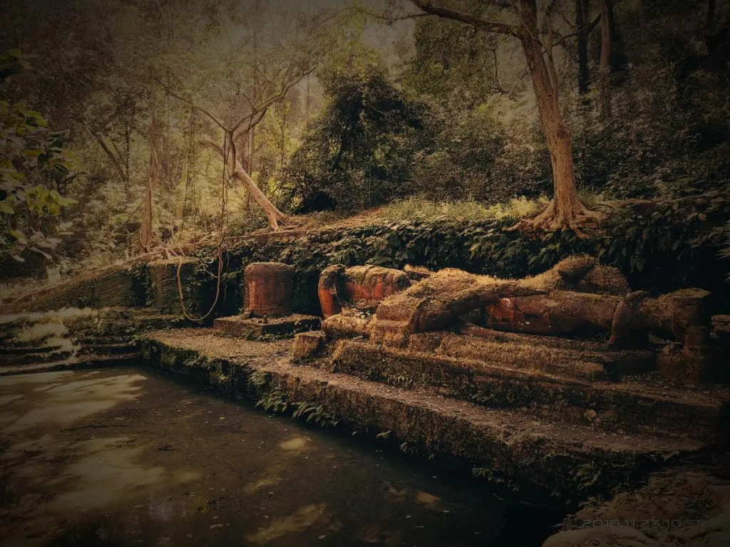 Bagh Tola, Bandhavgarh Tiger Reserve