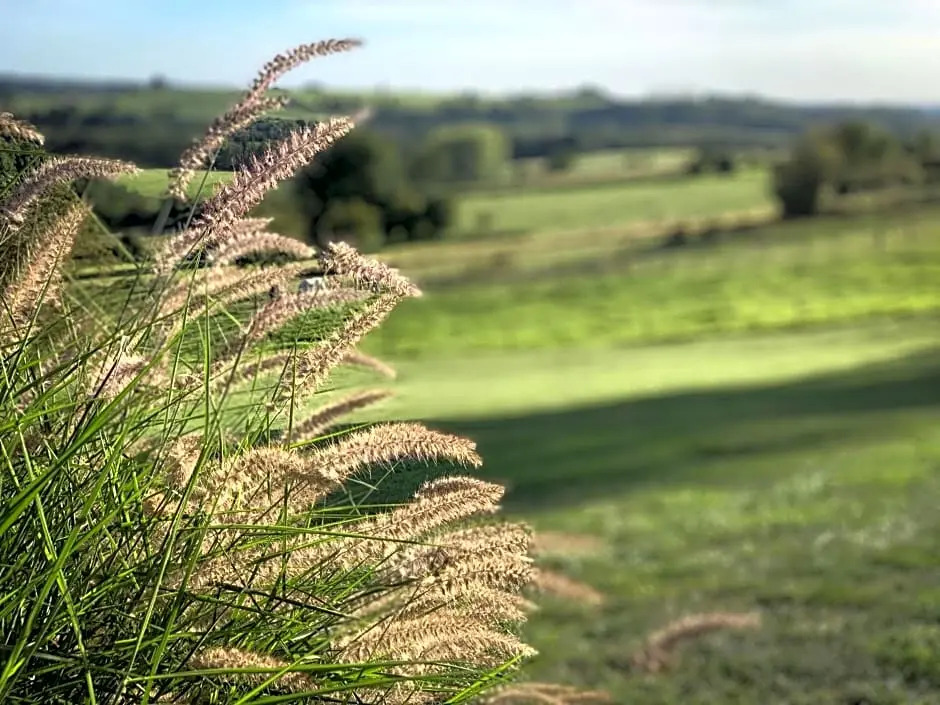 LImpasse de Lincé