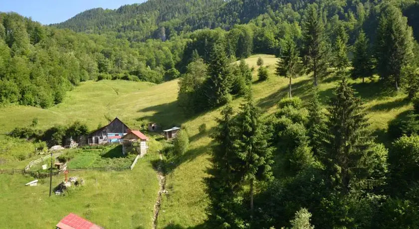 Casa Adina