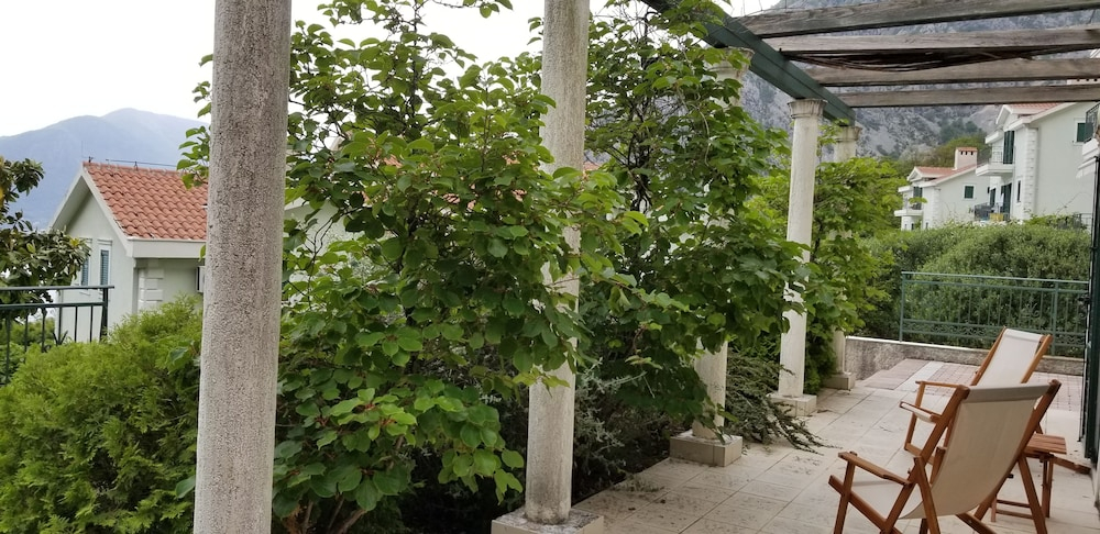 Green Village studio