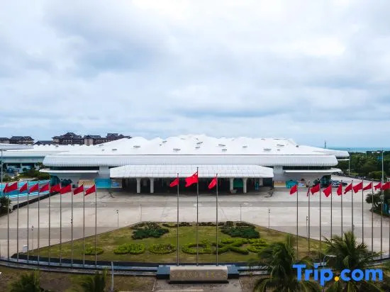 Vidike Hotel (cdf Haikou International Duty Free City)
