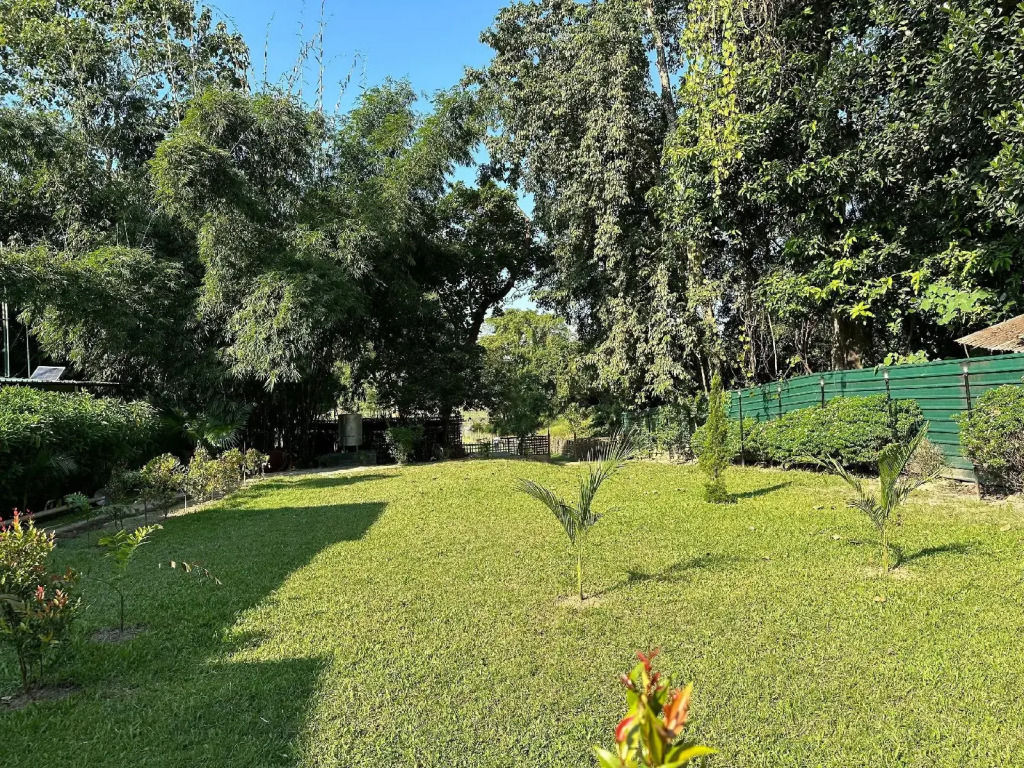 Jungleciti House Kaziranga National Park