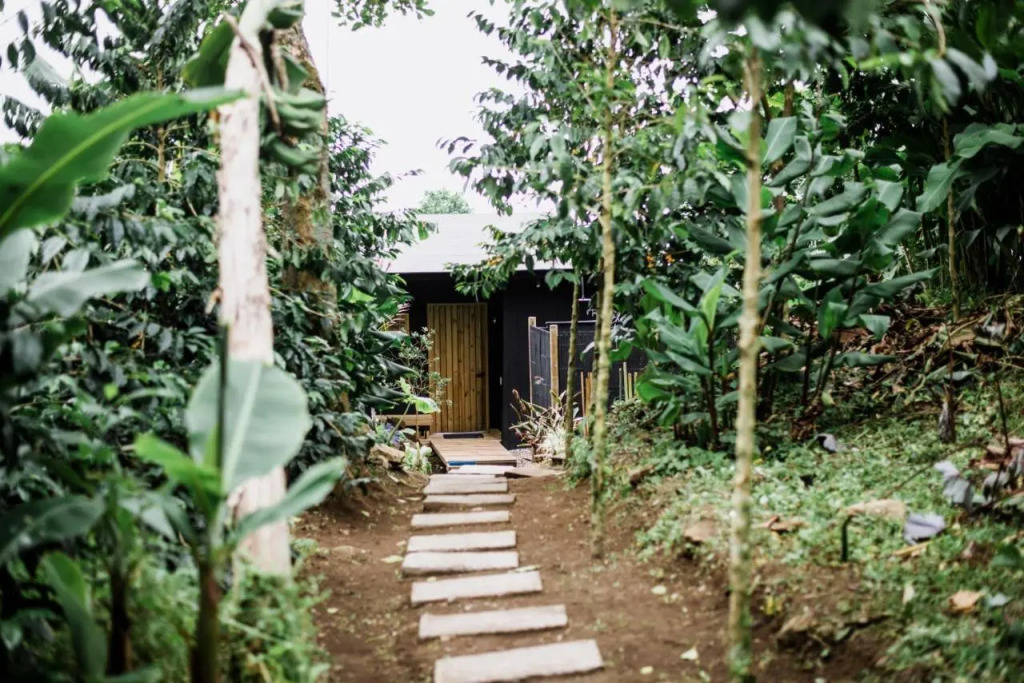 Hotel La Palma y El Tucán - Café y Naturaleza